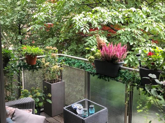 Appartement In The Center Of With Big Terrace